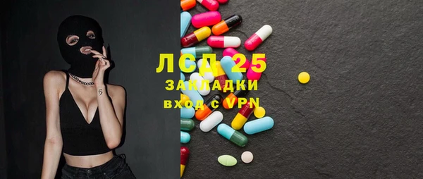 стаф Струнино